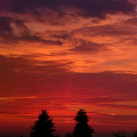 & Pool Prestige Ivica Aparthotel